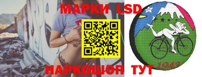 шишки Новозыбков