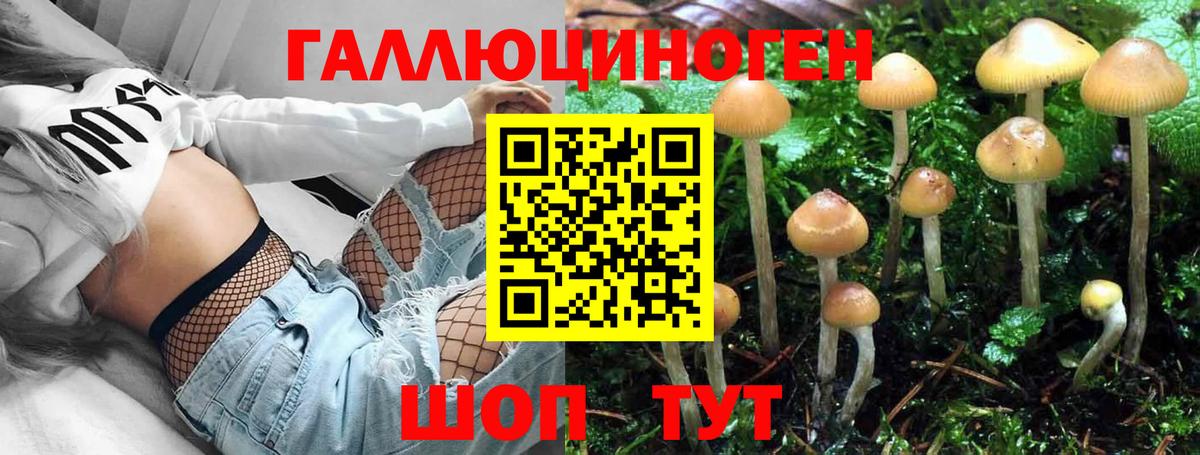 Галлюциногенные грибы прущие грибы  Вход с VPN  Псилоцибиновые грибы Cubensis  Черкесск 
